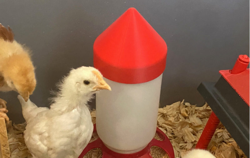 Anti-Roost Chick Feeder & Waterer Cap