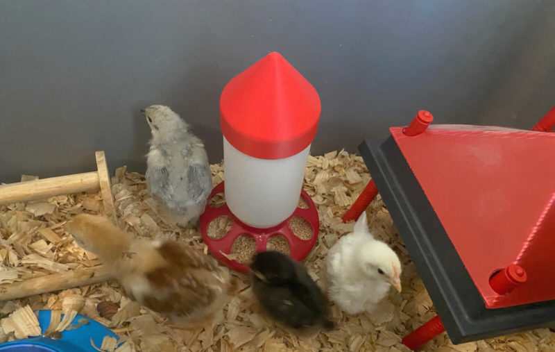 Anti-Roost Chick Feeder & Waterer Cap - Image 2